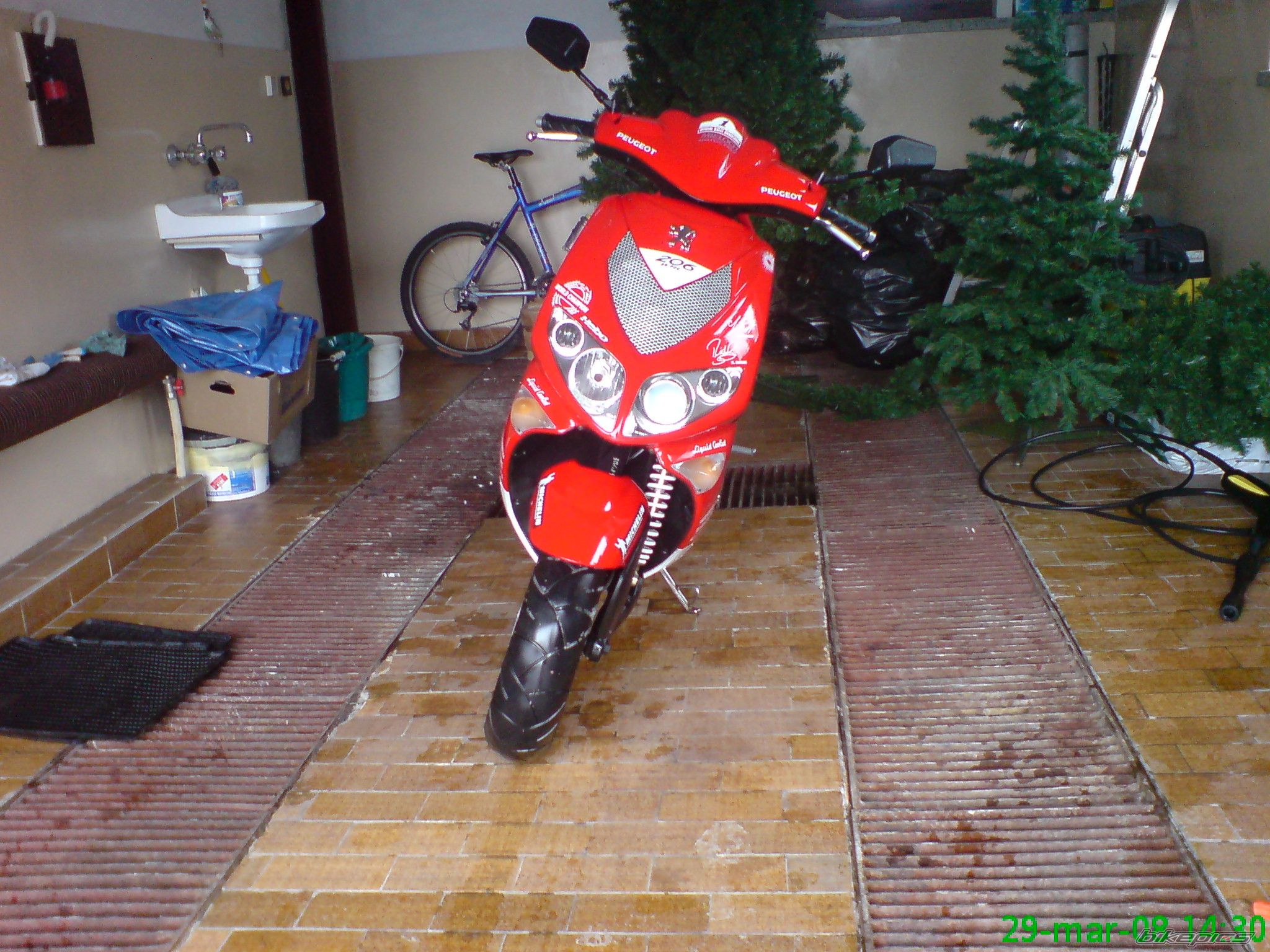 Photo 1272153