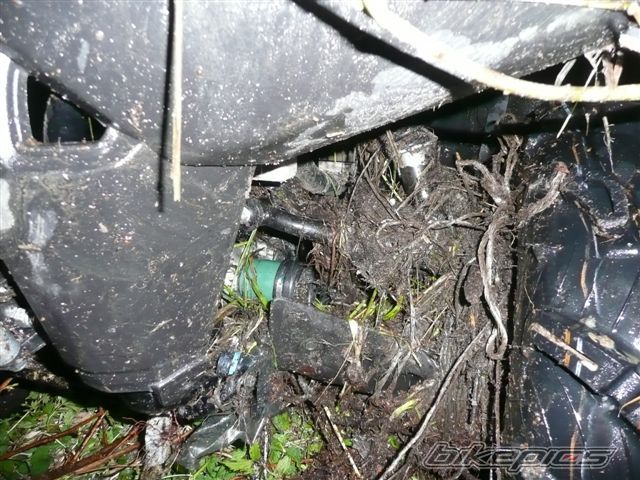 Bike Photo 1272191