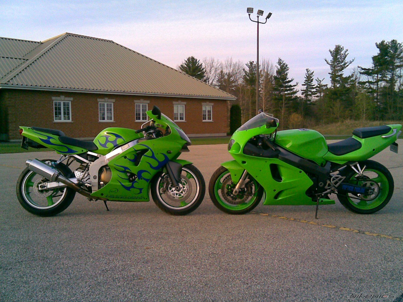Photo 1272207
