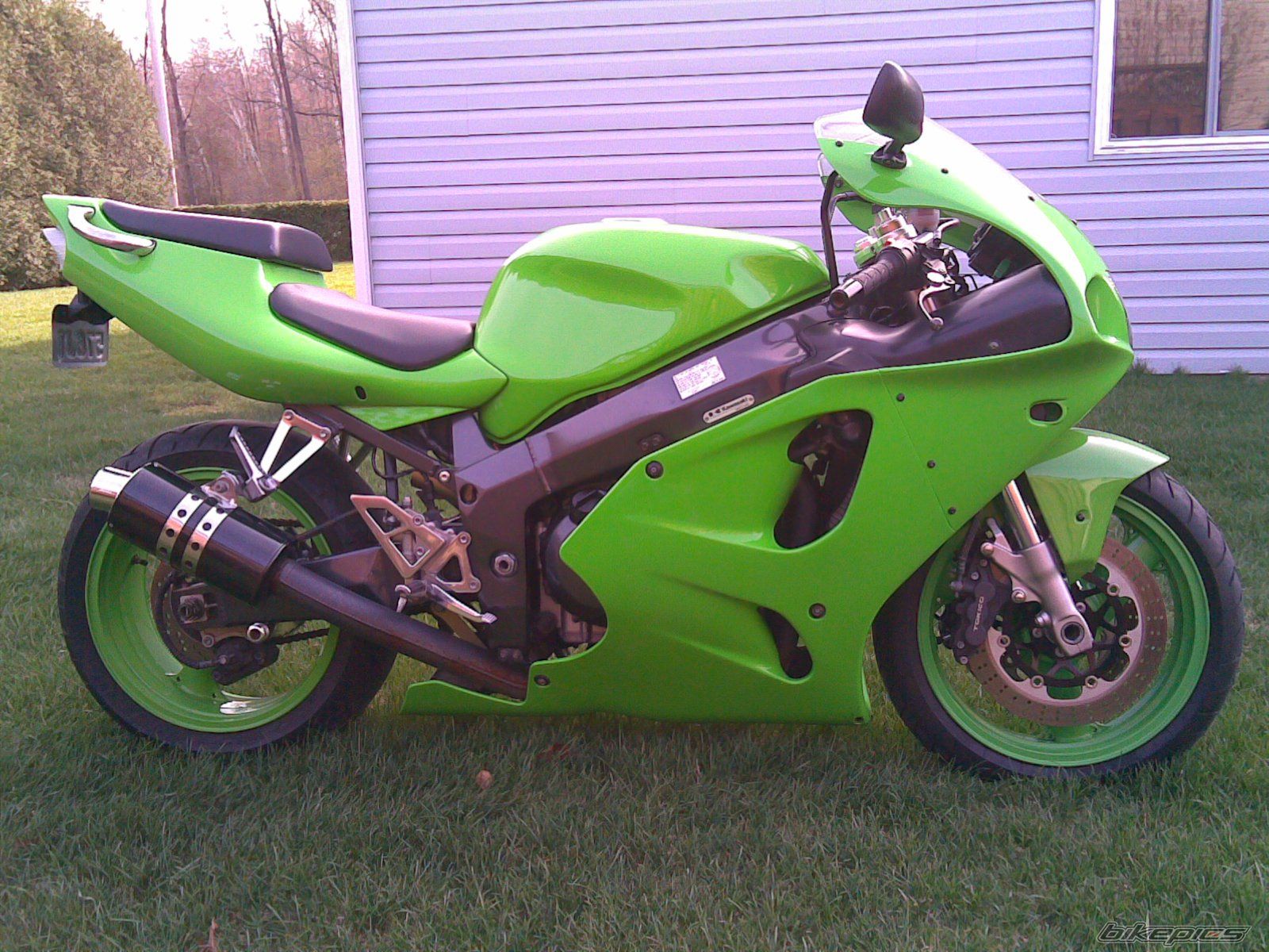 Photo 1272211