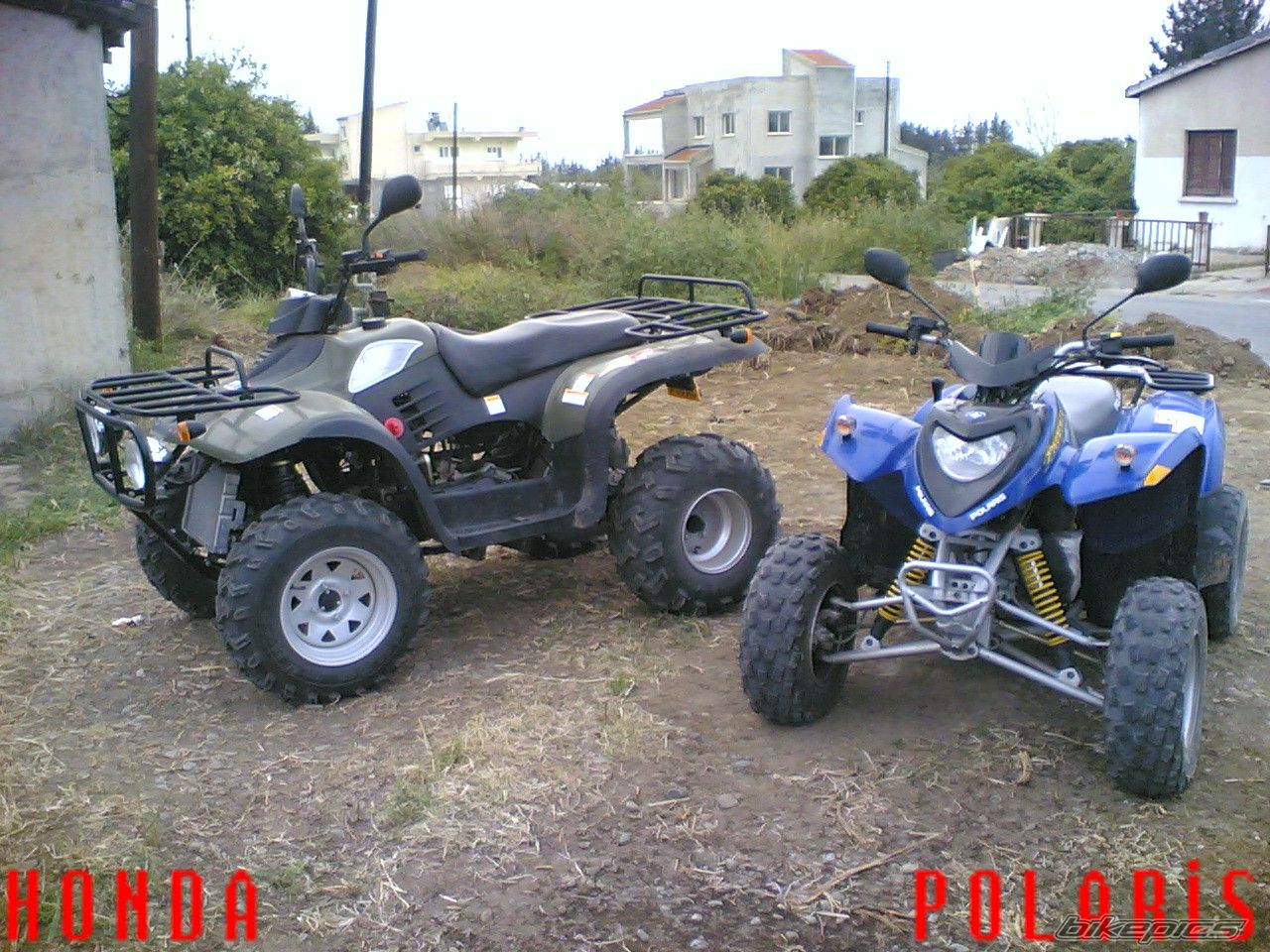 Photo 1272216