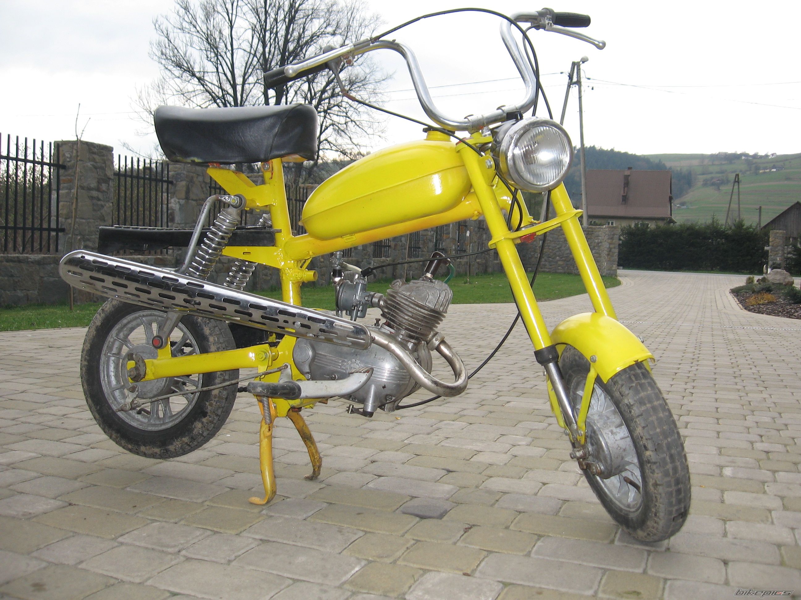 Photo 1272240