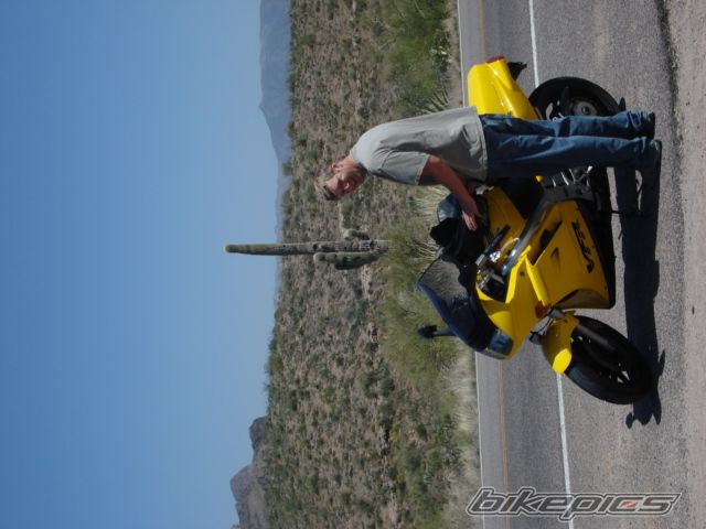 Photo 1272303