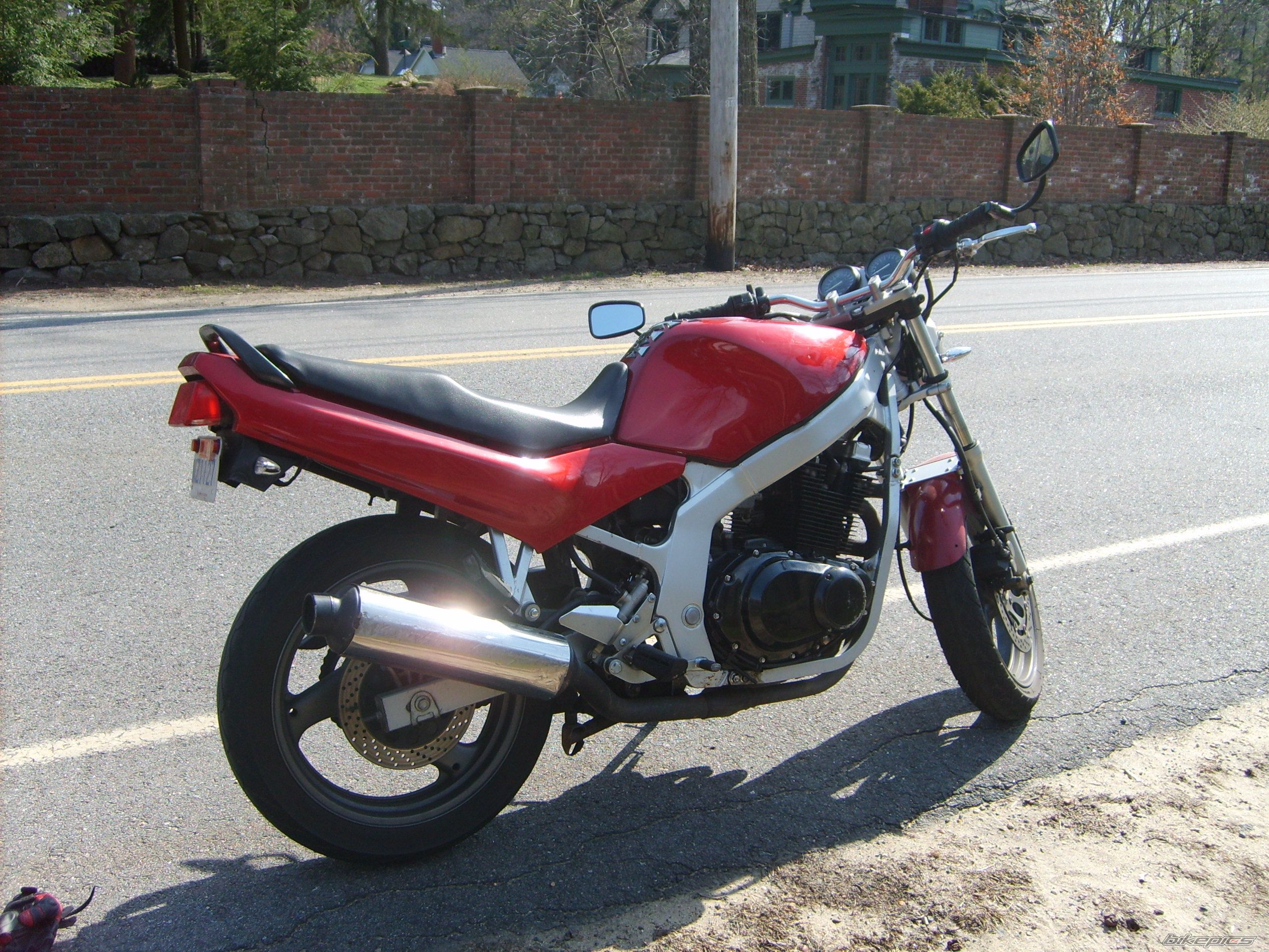 Photo 1272332