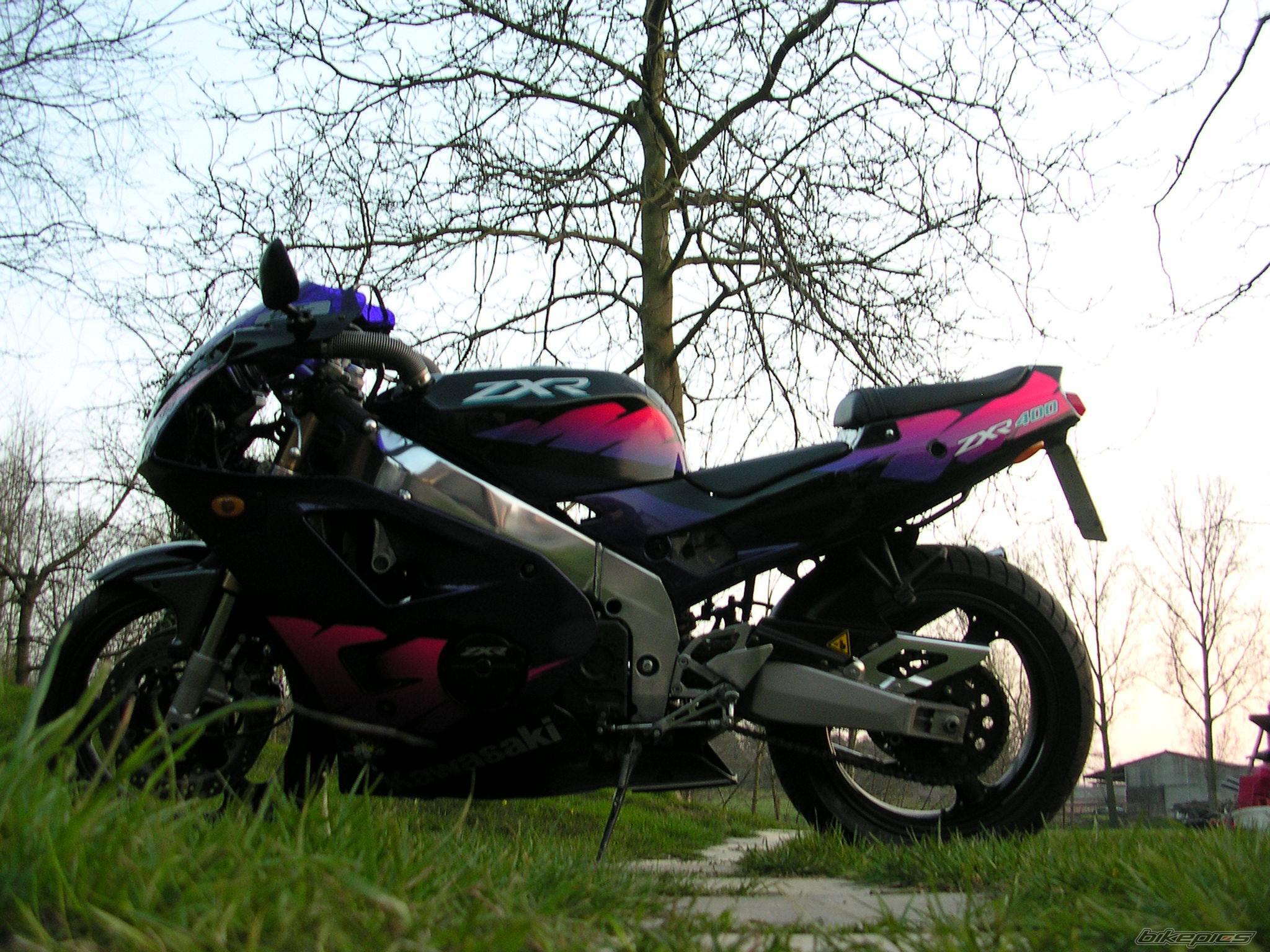 Photo 127234