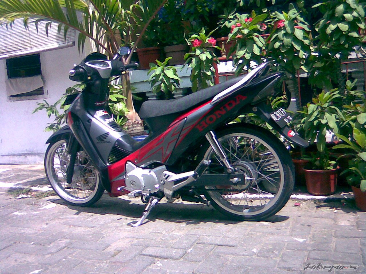 Photo 1272347