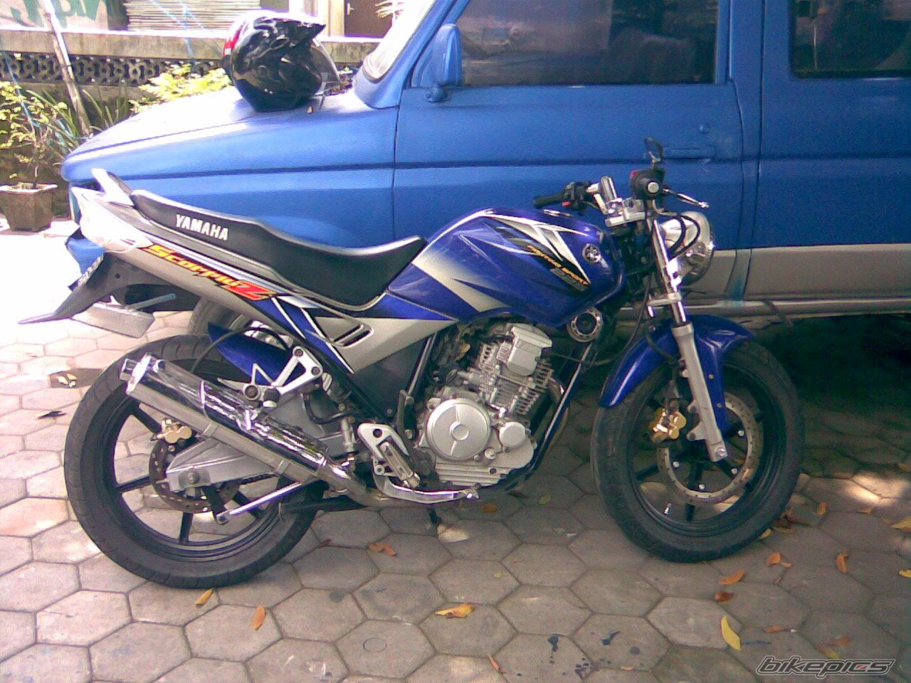 Photo 1272356