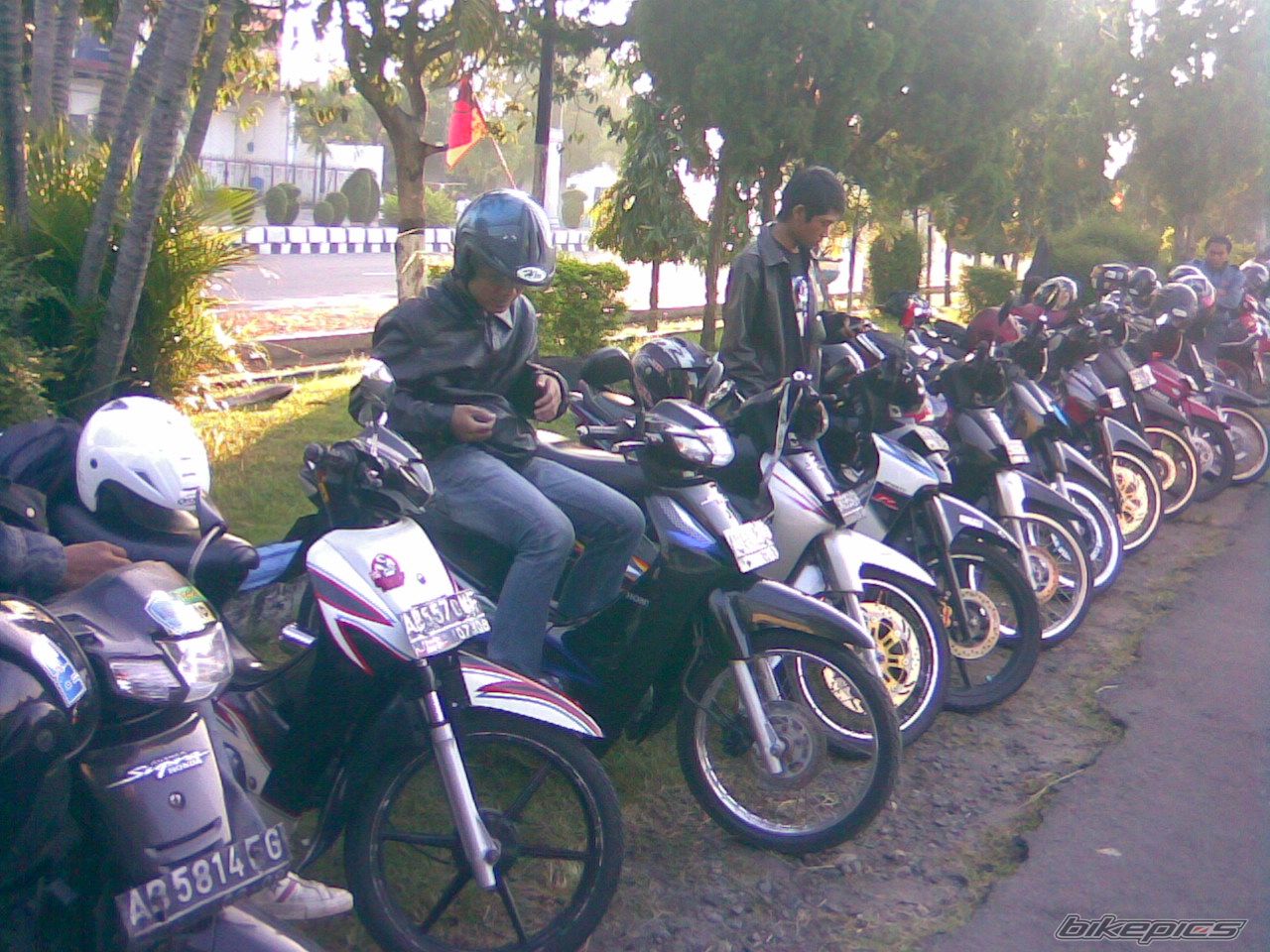 Photo 1272379