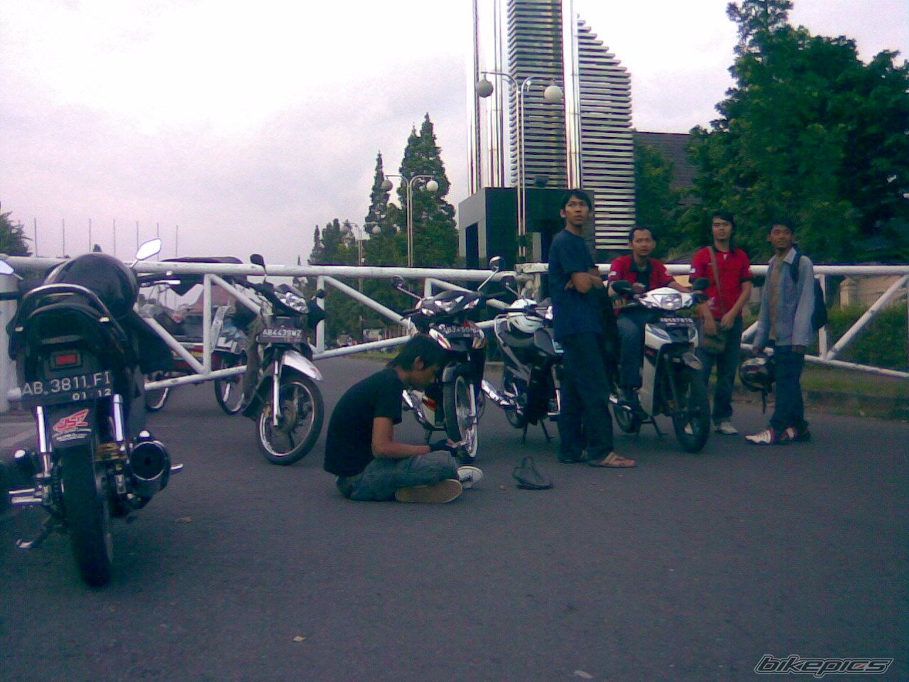 Photo 1272382