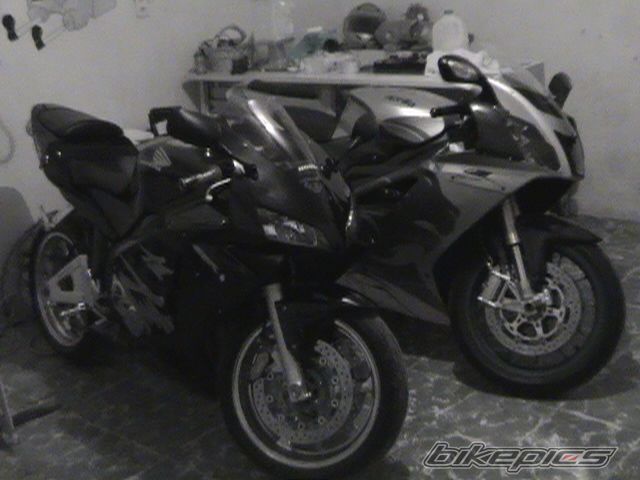 Photo 1272386
