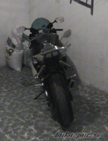 Photo 1272388