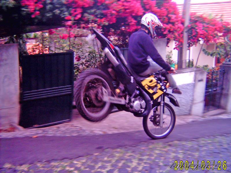 Photo 127240