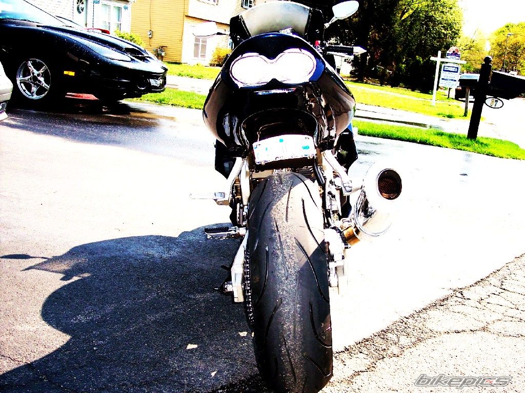 Photo 1272407
