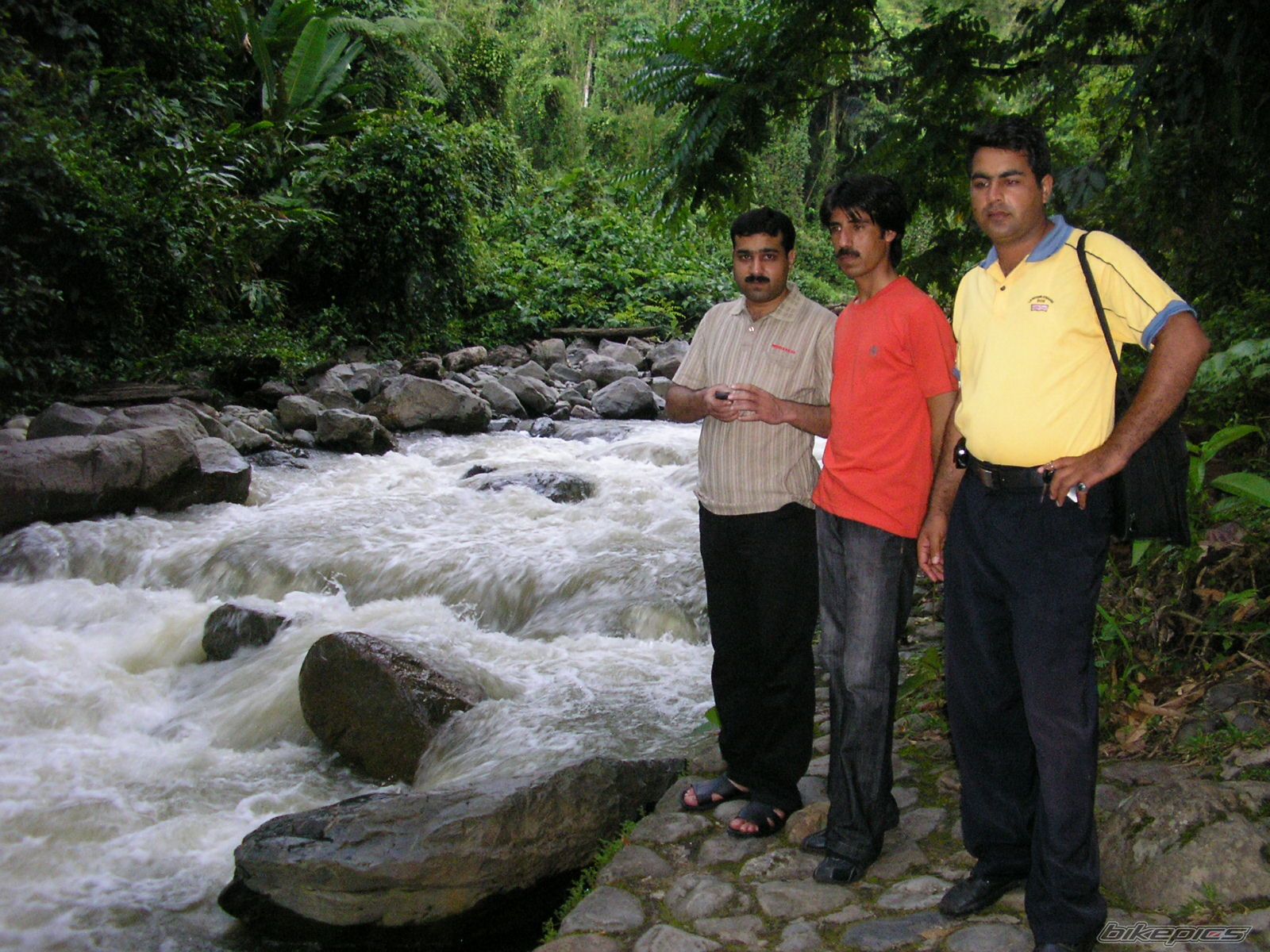 Photo 1272417