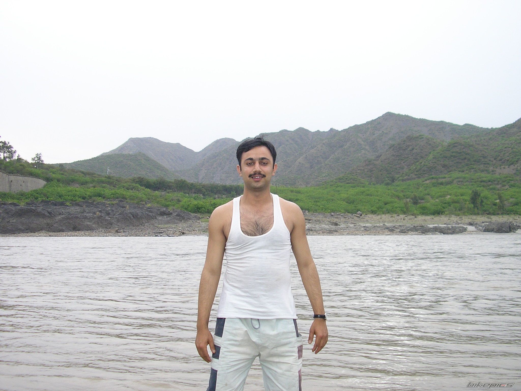 Photo 1272424