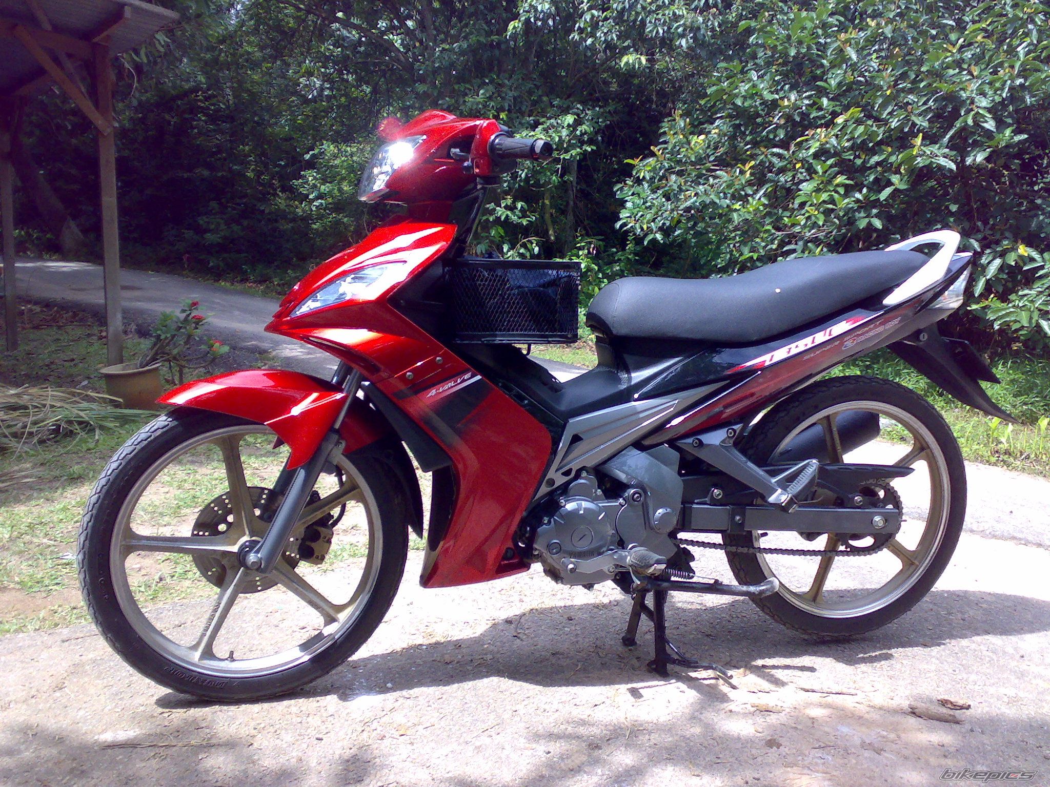 Photo 1272440
