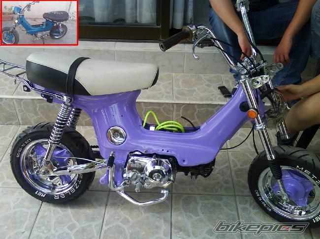 Photo 1272448