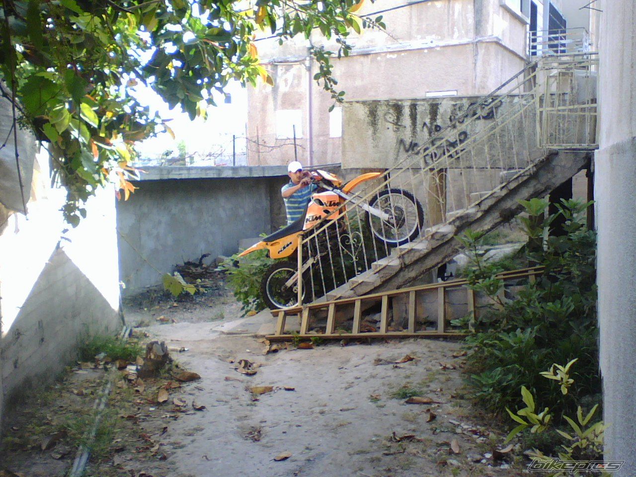Photo 1272511