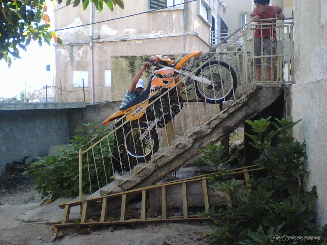 Photo 1272514