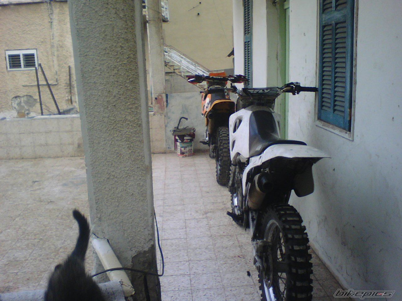 Photo 1272518