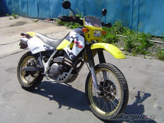 Photo 1272555