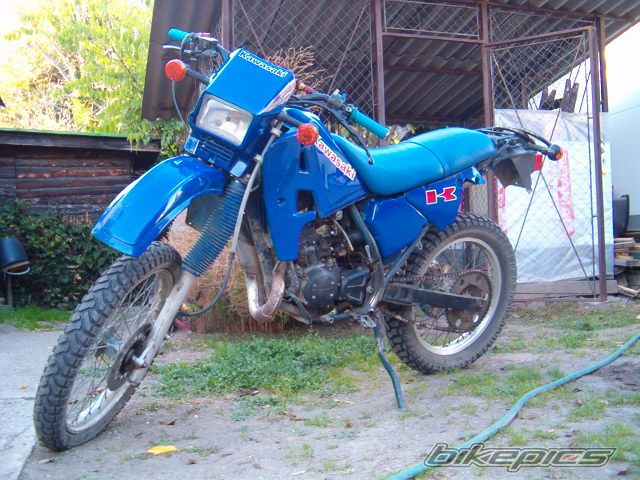 Photo 1272580