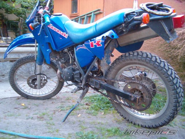 Photo 1272582
