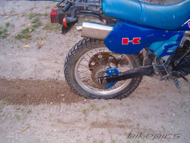 Photo 1272583