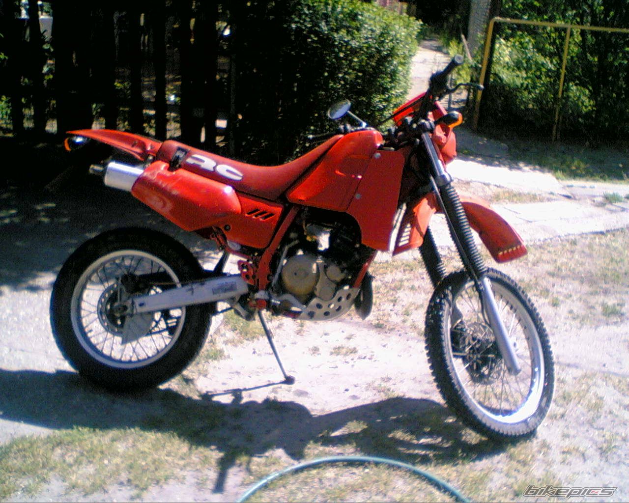 Photo 1272630
