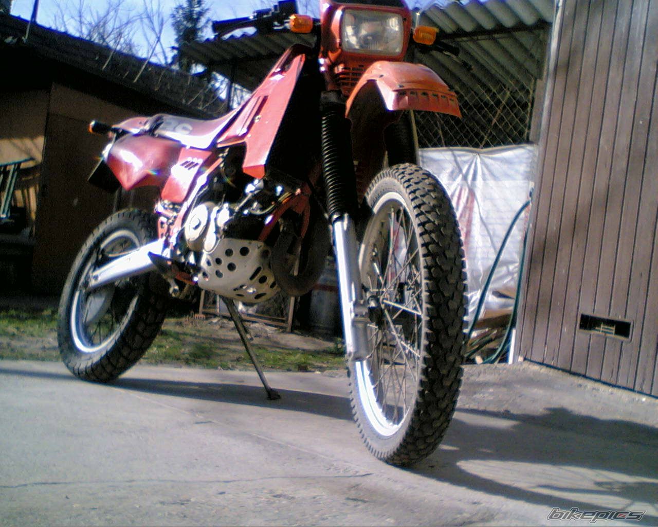 Photo 1272632