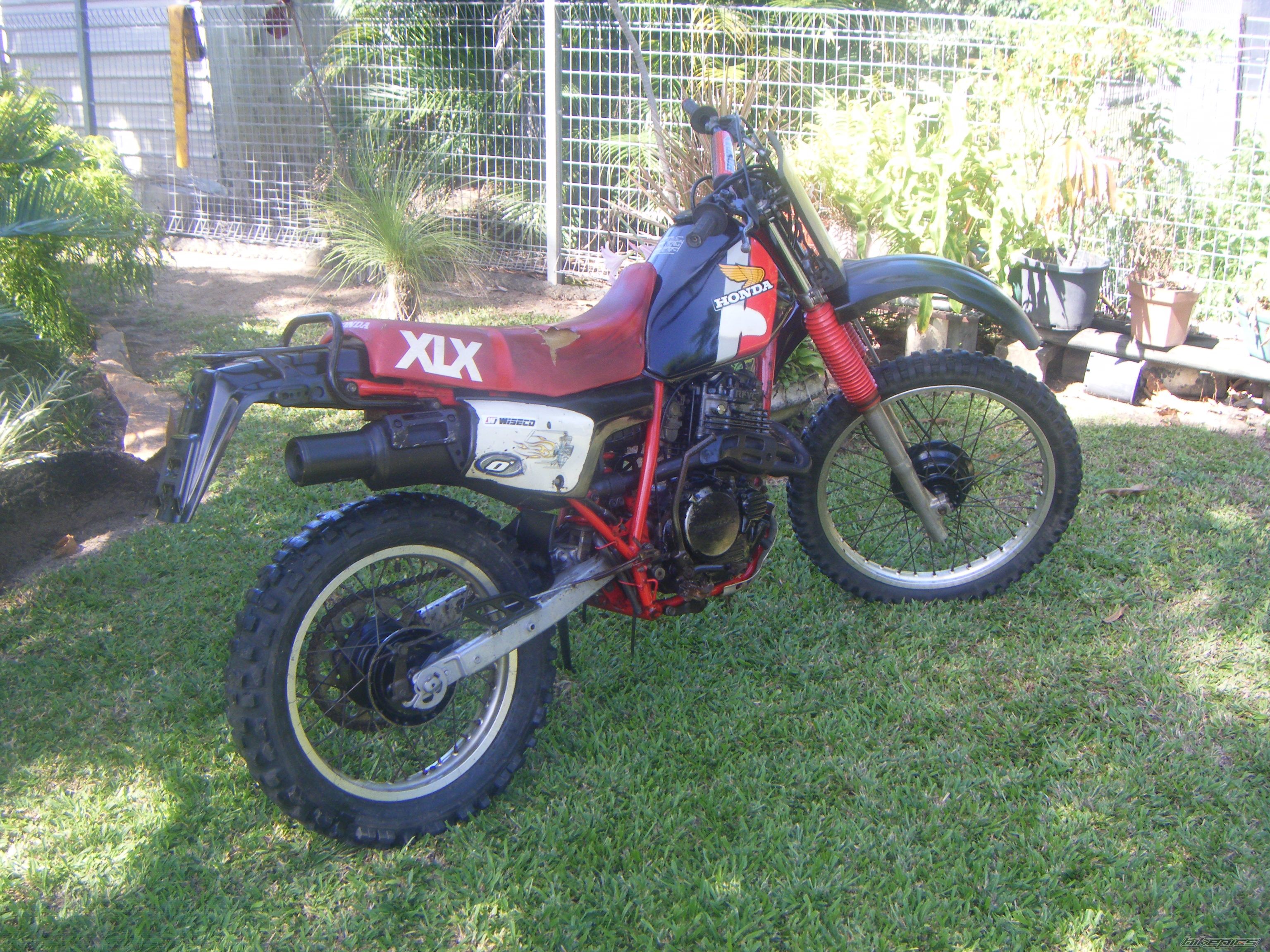 Photo 1272648