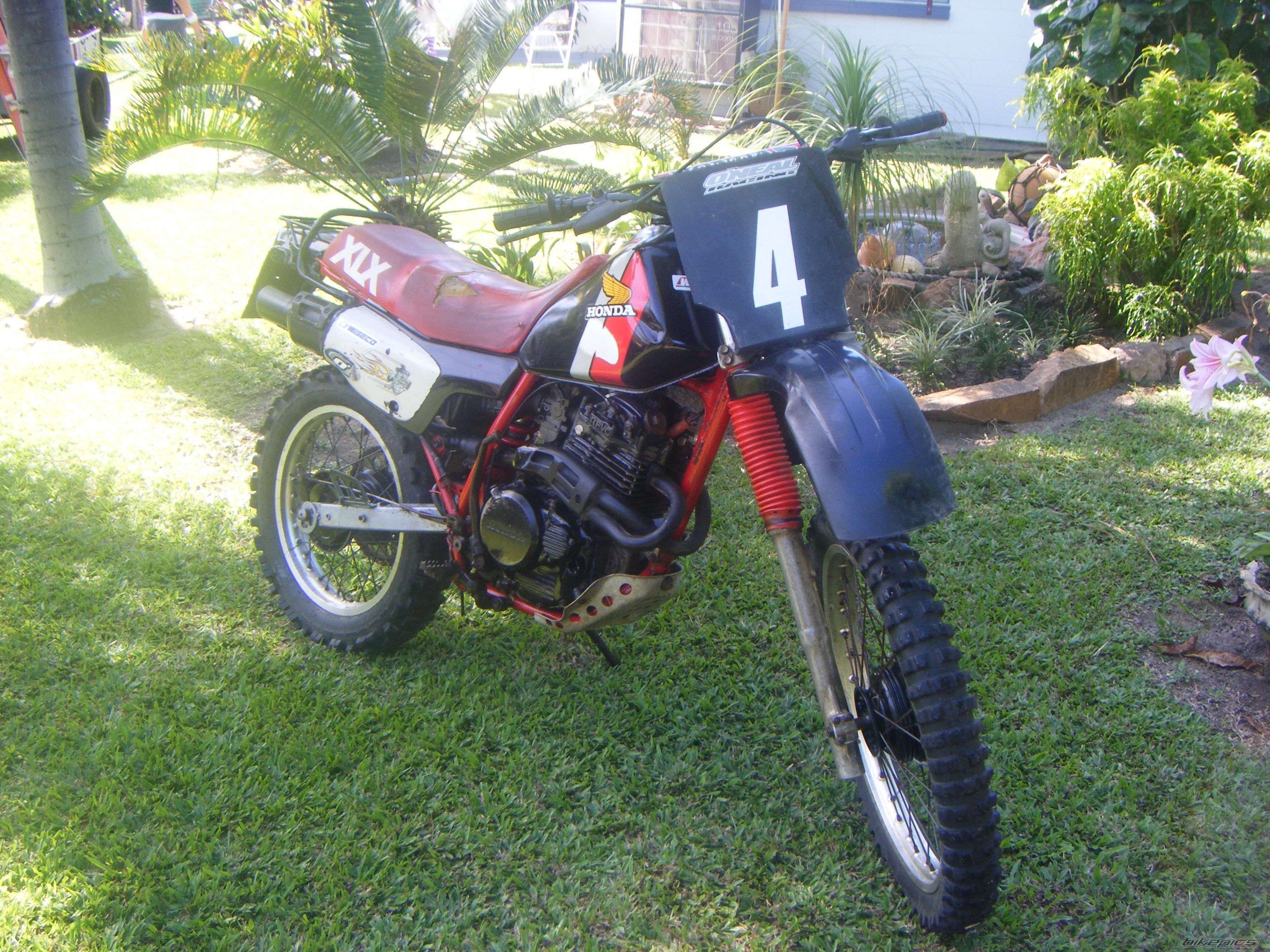 Photo 1272650