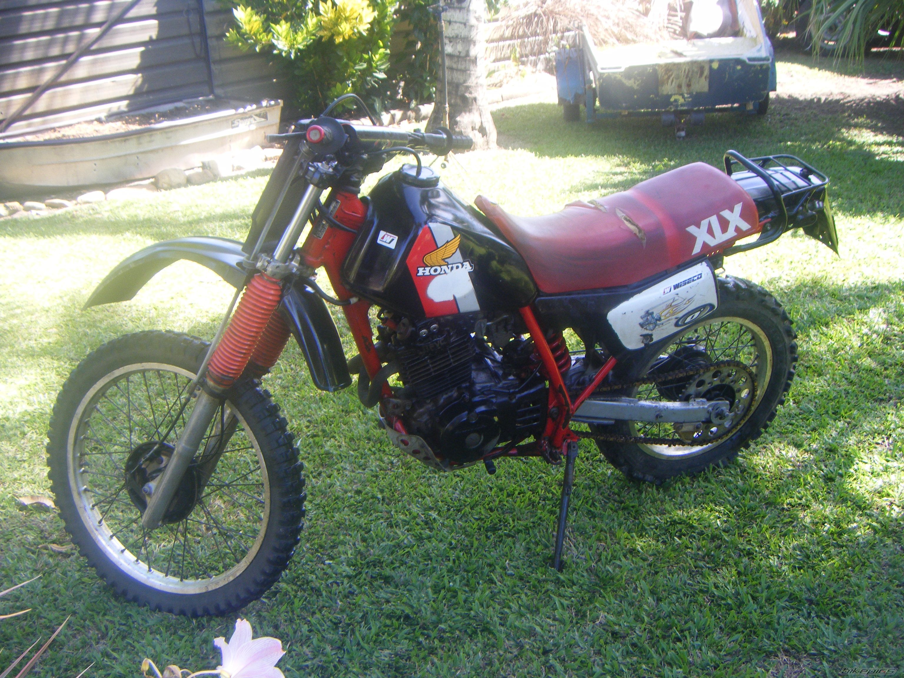 Photo 1272653