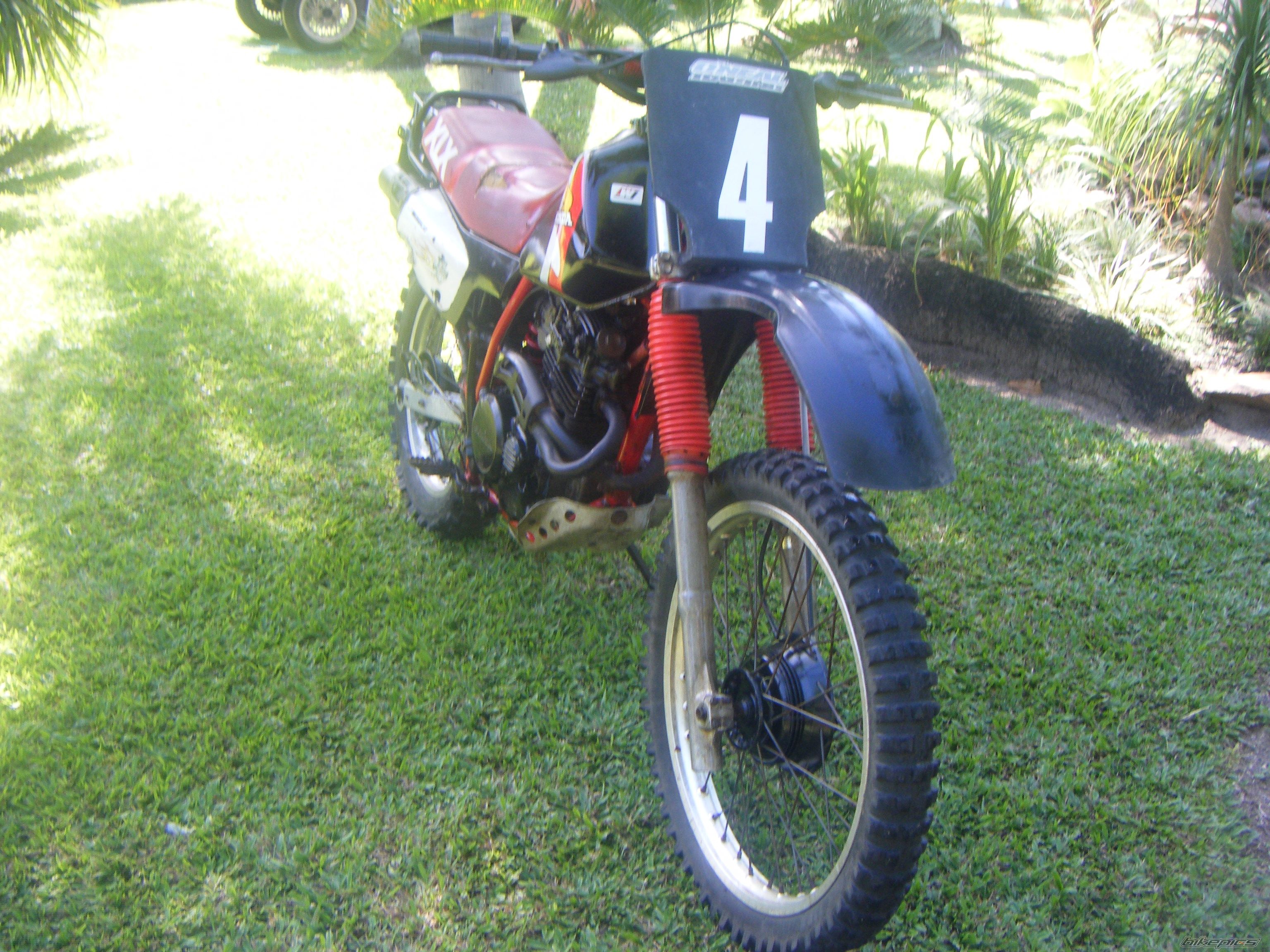 Photo 1272663