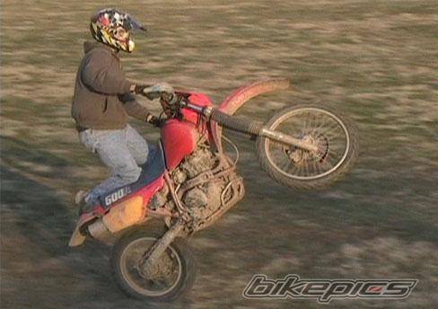 Photo 127267