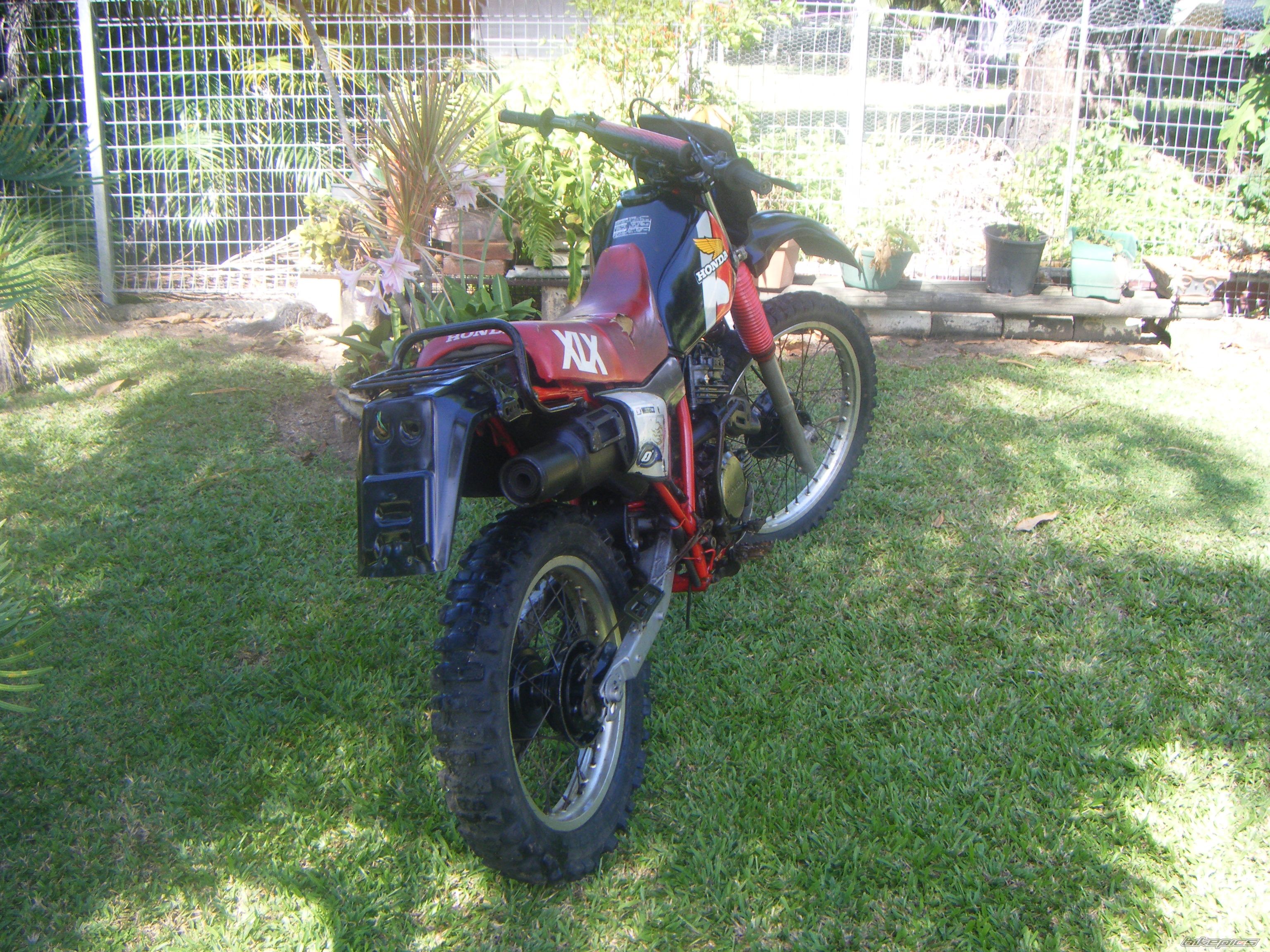 Photo 1272684