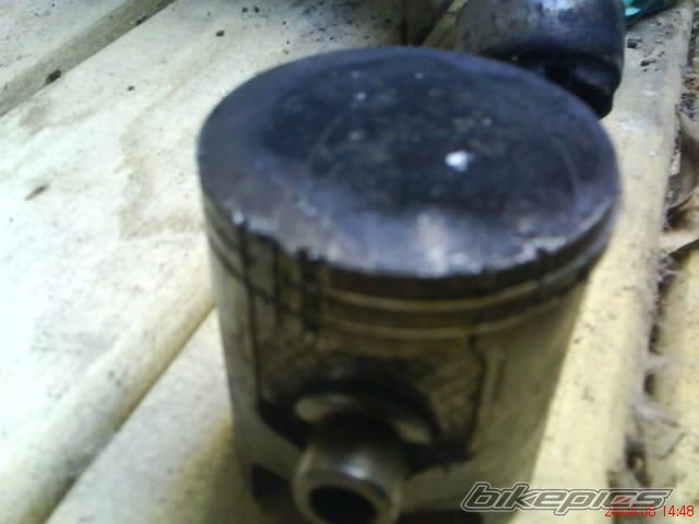 Photo 1272688