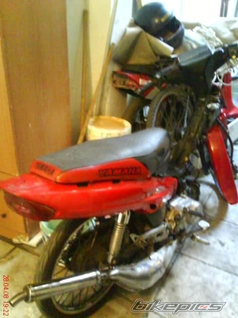 Photo 1272701
