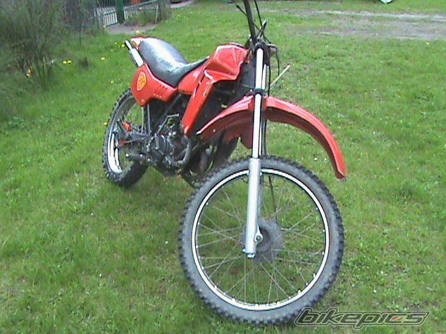 Photo 1272749