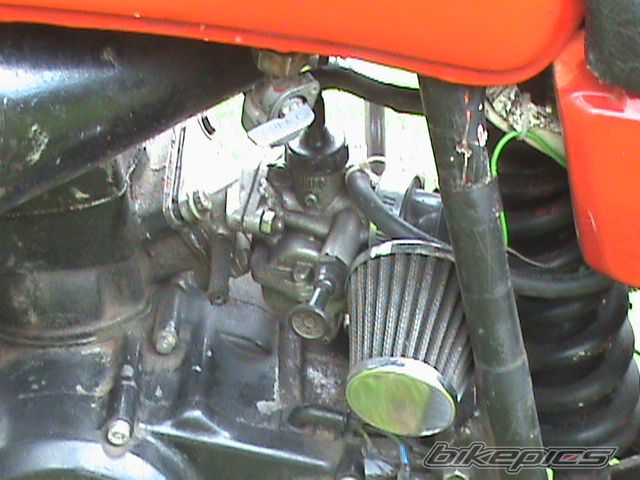 Photo 1272752