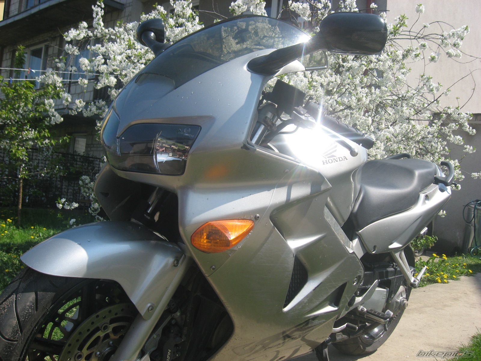 Photo 1272768