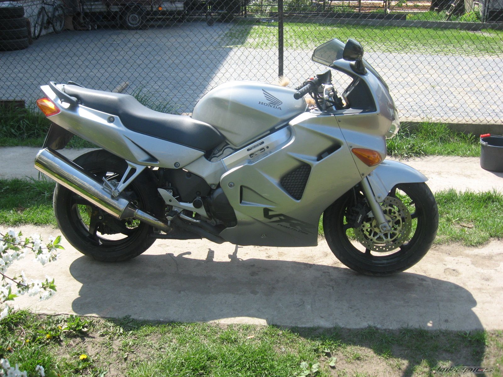 Photo 1272770