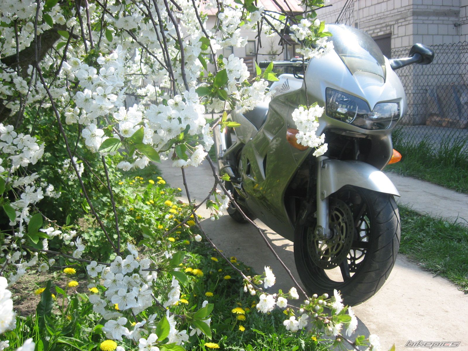 Photo 1272772