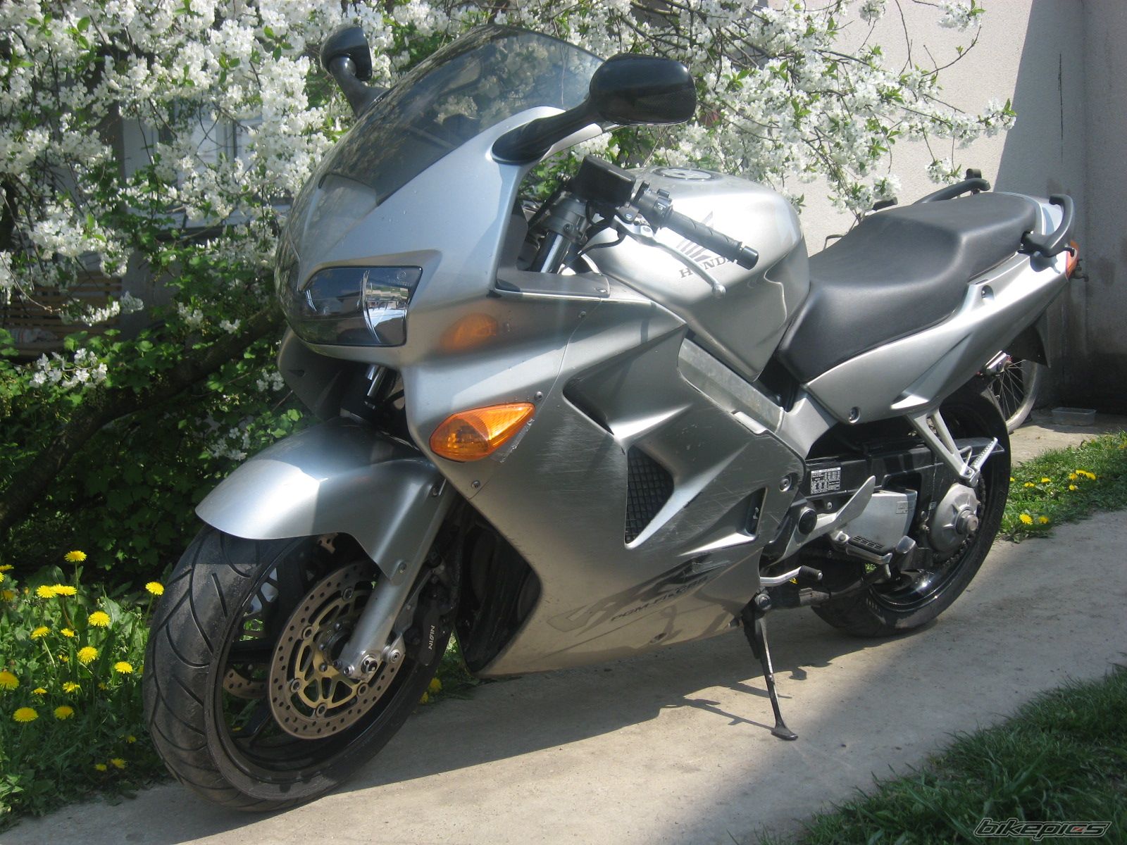 Photo 1272773