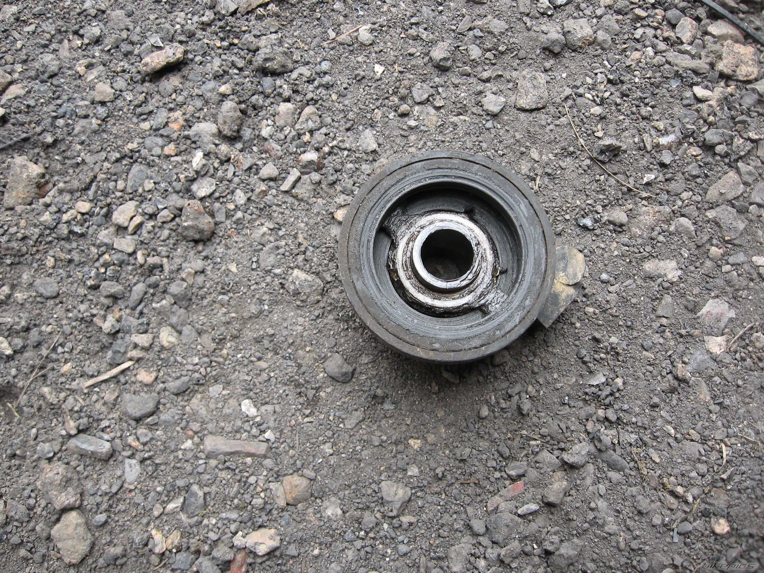 Photo 1272787