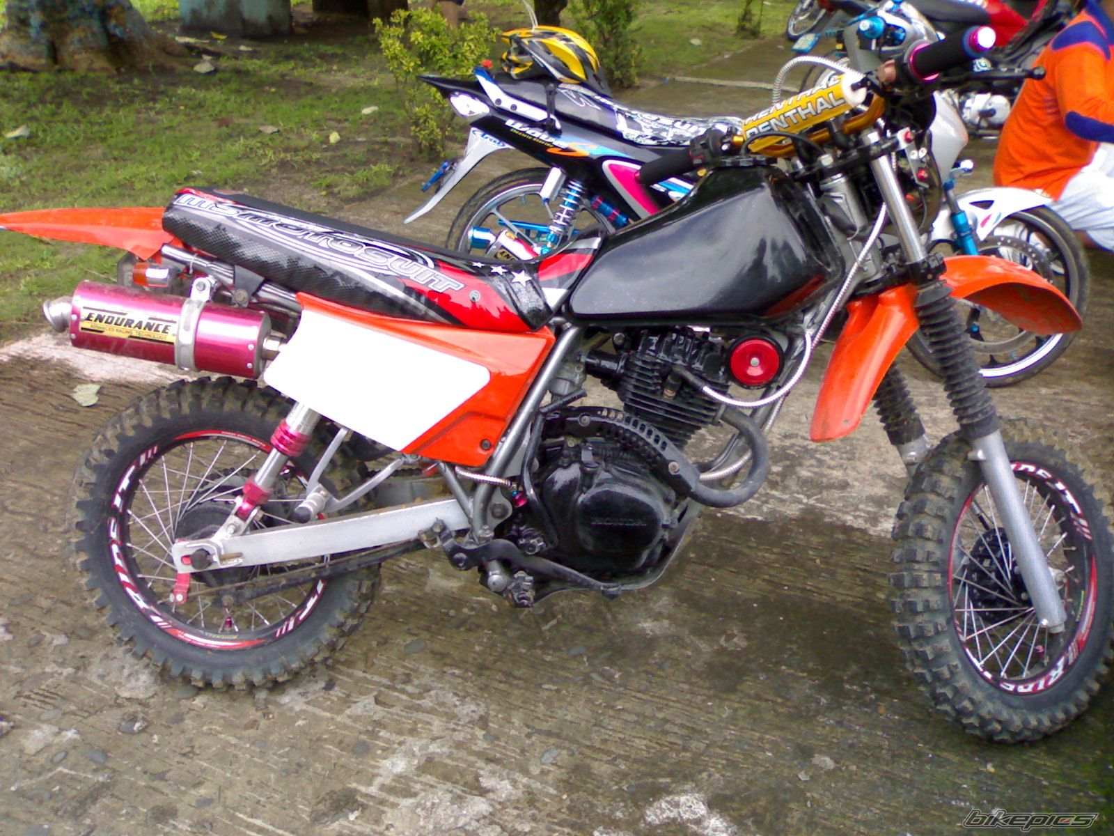 Photo 1272788