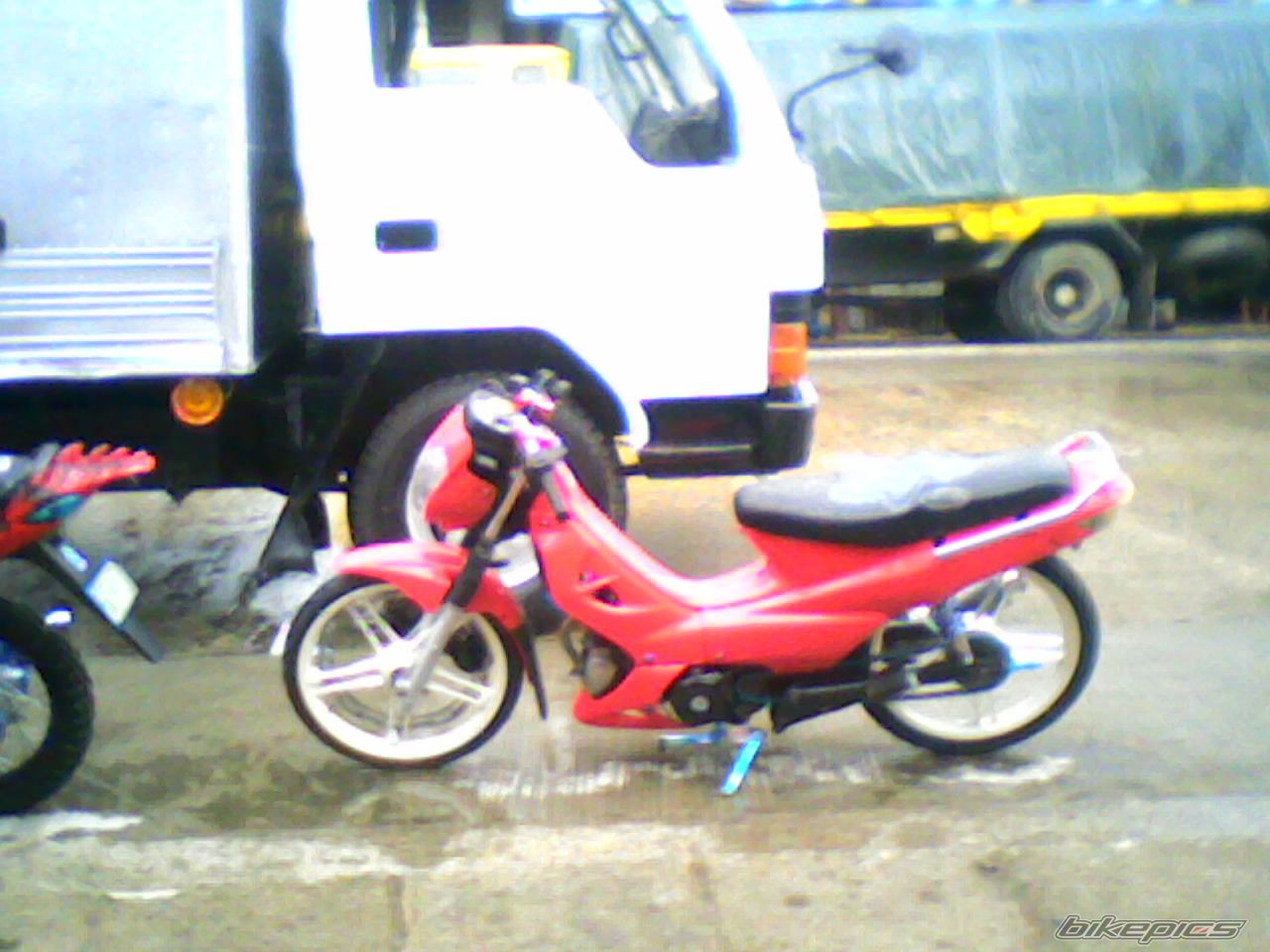 Photo 1272790
