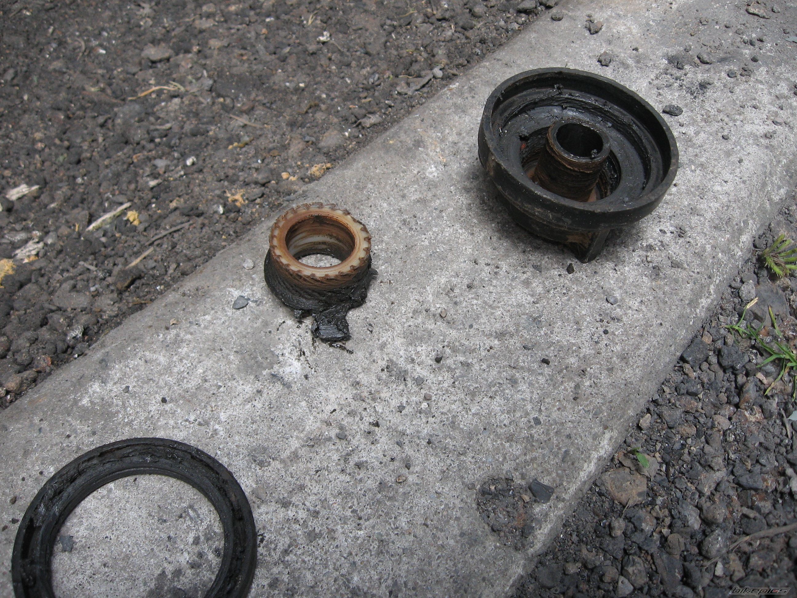 Photo 1272796