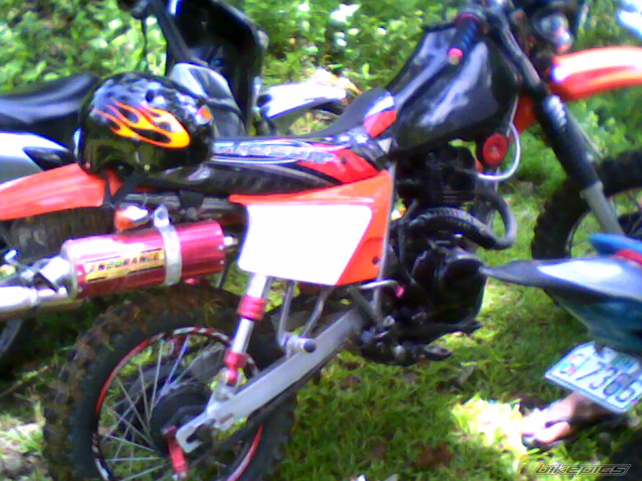 Photo 1272800