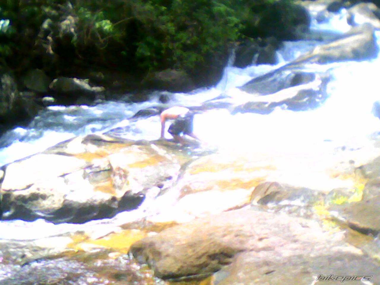Photo 1272808